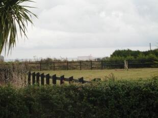 View From Garden