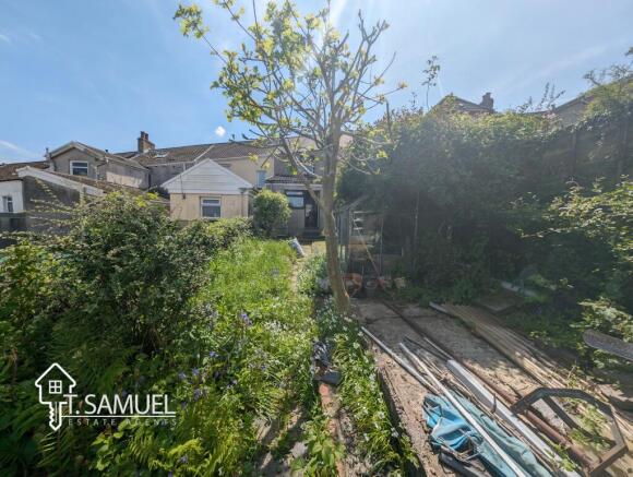 Garden 4