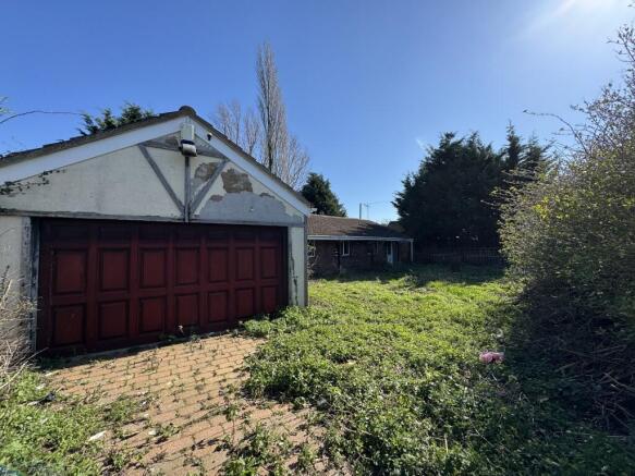 20260318 123152058 IOS  Medium  T202603190944.jpg