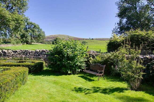 Garden & view