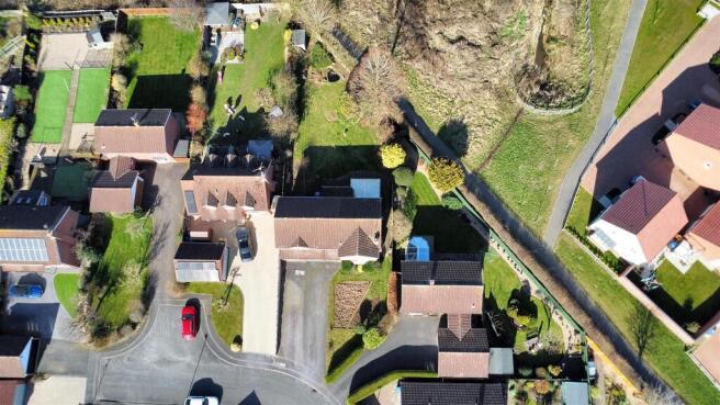 dji_fly_20250305_134140_433_1741182224945_photo_op