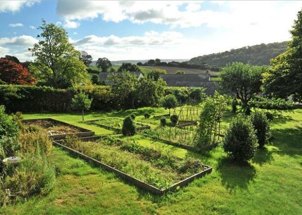 Vegetable Garden
