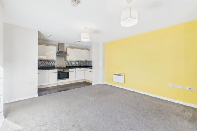 Open Plan Lounge Kitchen