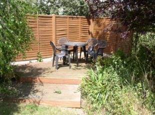 Rear Patio Area