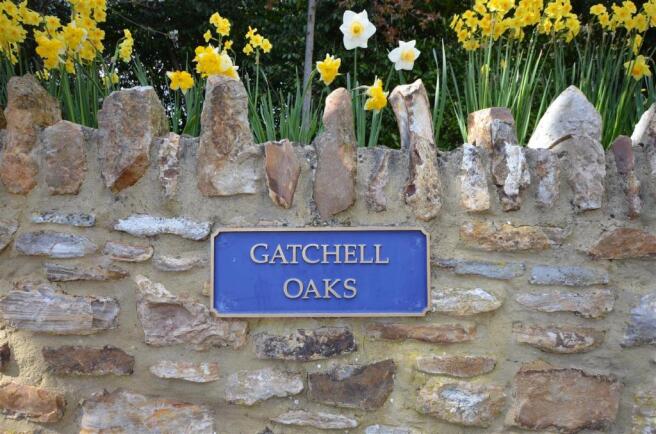Gatchell Oaks