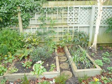 The Rear Garden