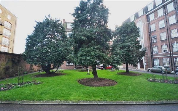 Rear Courtyard