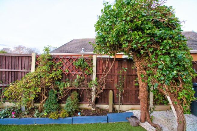 REAR GARDEN(S)
