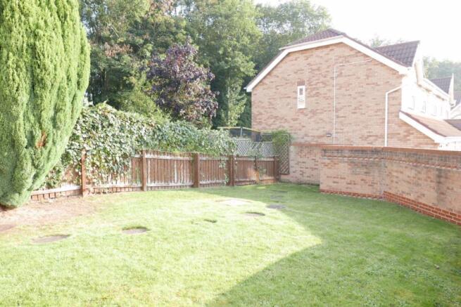 Photo 8