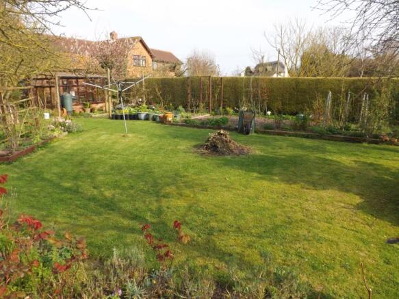 Vegetable garden