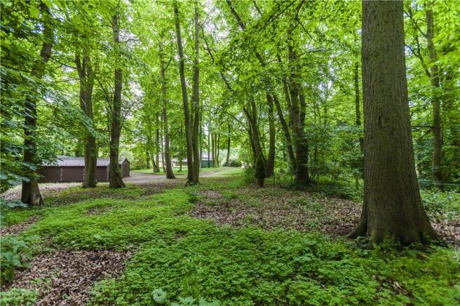 Woodland