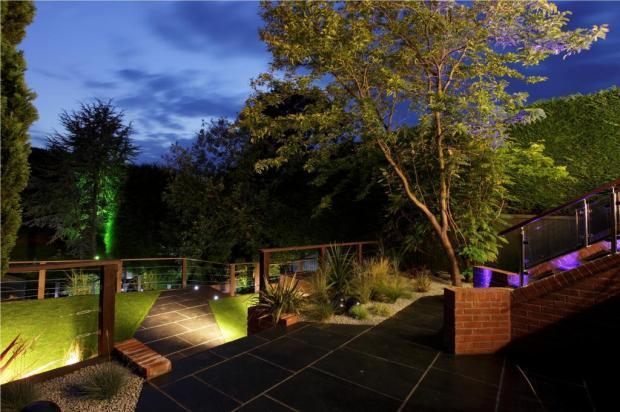 Night Time Garden