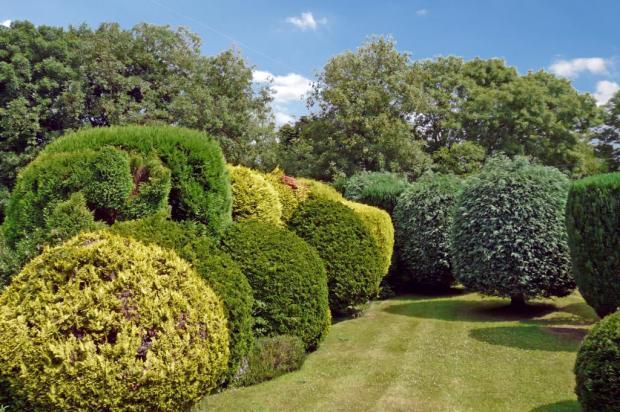 Lovely Gardens