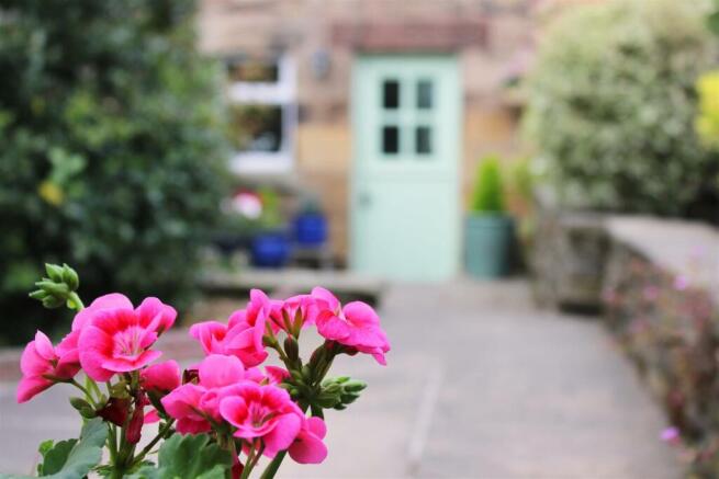 IMG_6808 copy.jpg