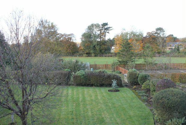 View from Bedroom