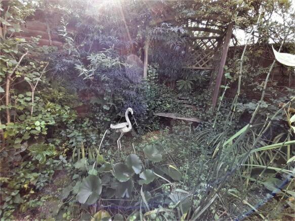 Garden 5.jpg