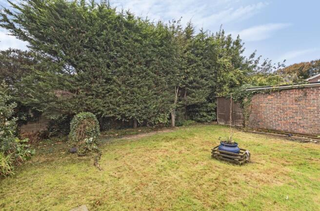 garden 1