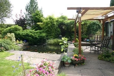 Pond