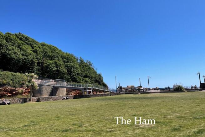 The Ham