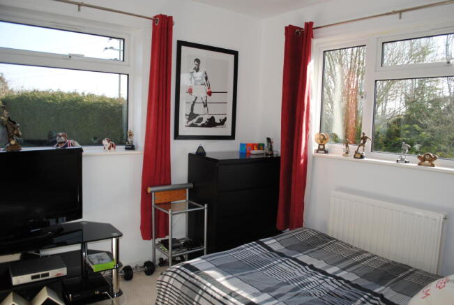 Photo 11