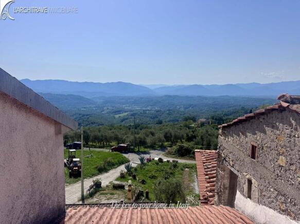IL PAPPAGALLO (14)