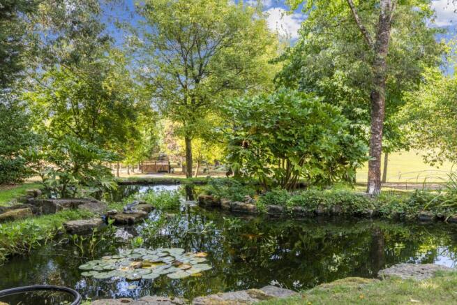 Pond