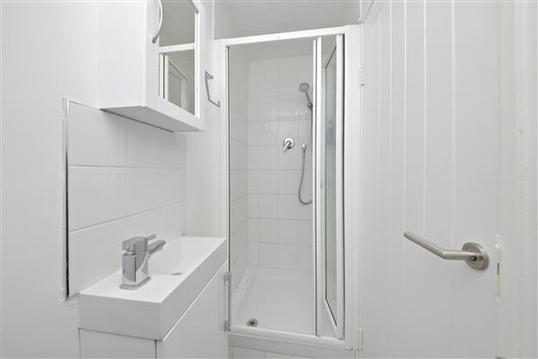 Downstairs Shower