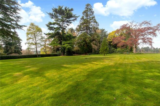 Grounds