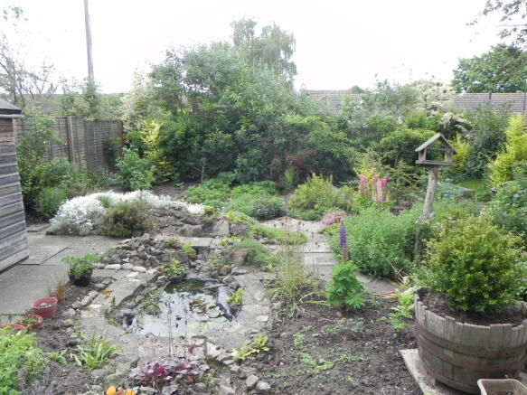 Photo 11
