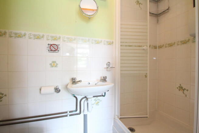 Photo 11