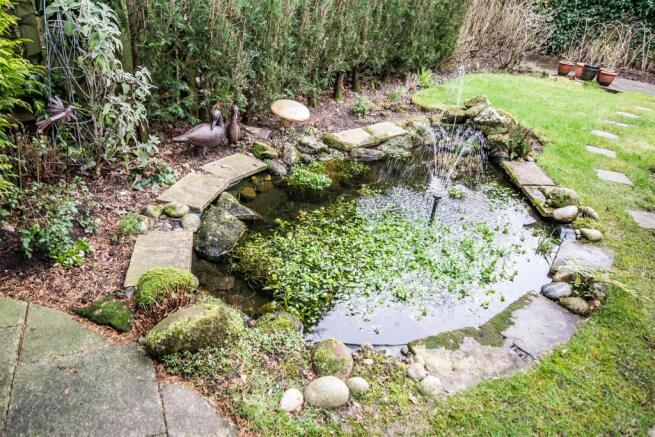 Pond