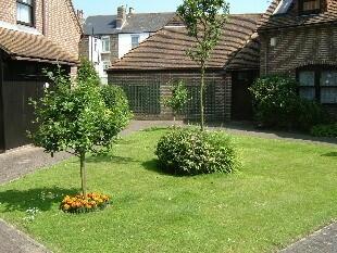 Front Lawn Area