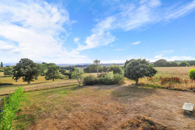 20220803170608_IMG_3929