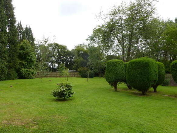 Photo 8