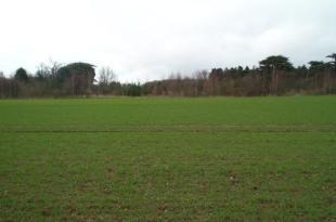 Field to rear