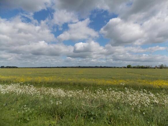 Meadow Walks