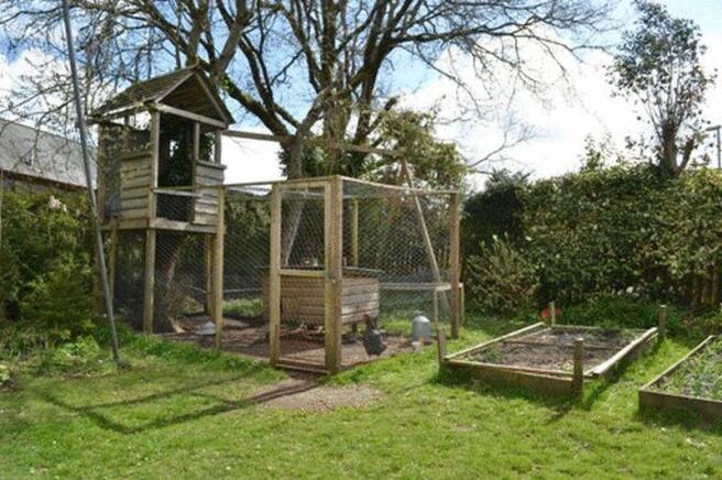 Chicken coup