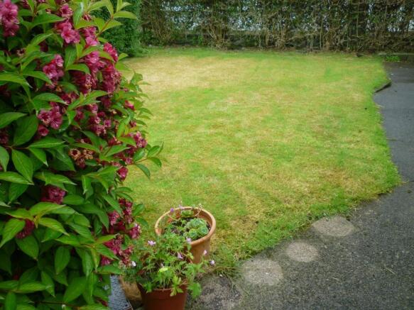Image 13