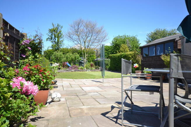 Photo 10