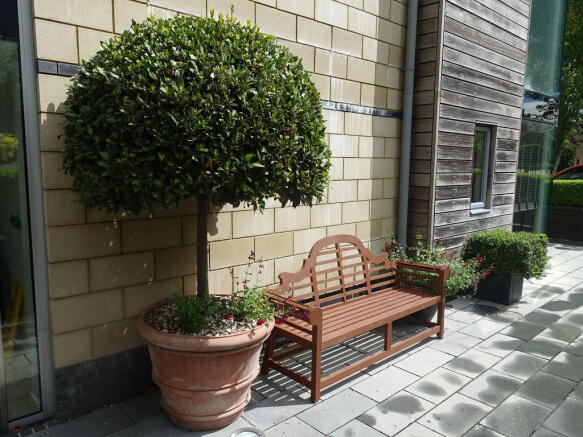 Photo 12
