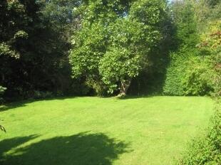 Garden 2