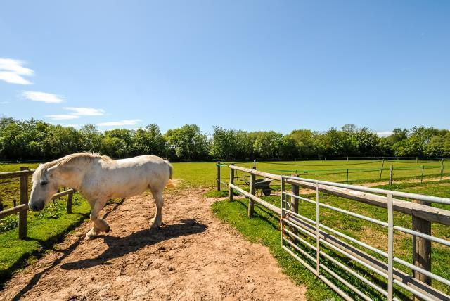 2 acre Field/Paddock