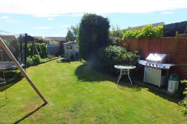 Garden 3.JPG