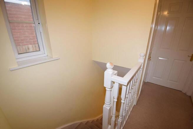 cedarw 013 (Copy).JPG