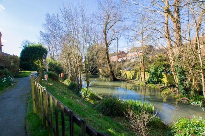 Pond