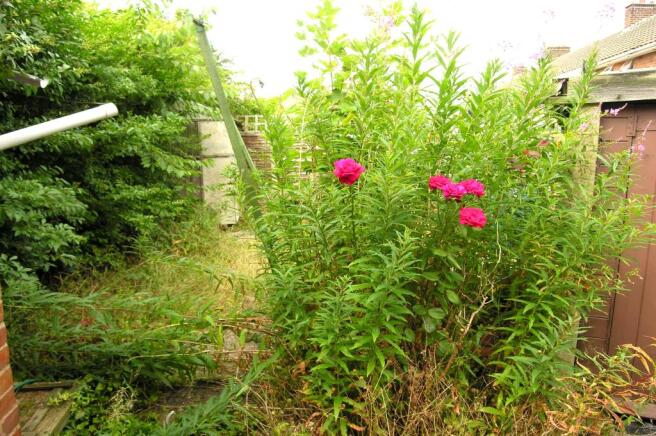 GARDEN VIEW 1