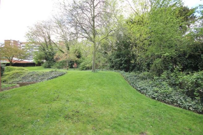 Communal Garden