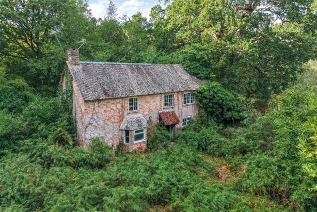 1522476 (3).jpg