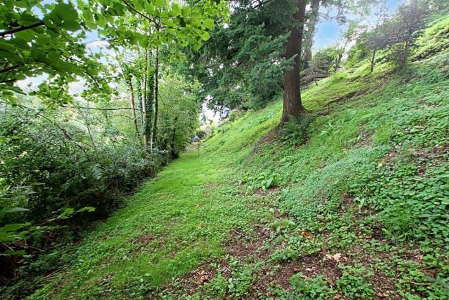 Woodland and gardens
