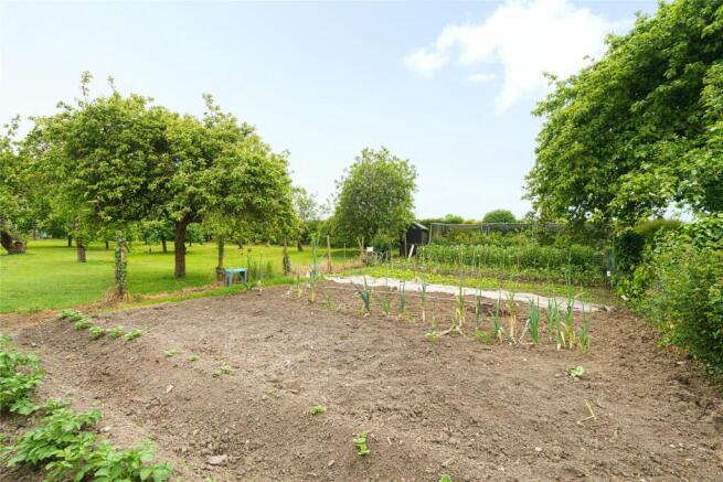 Vegetable Plot